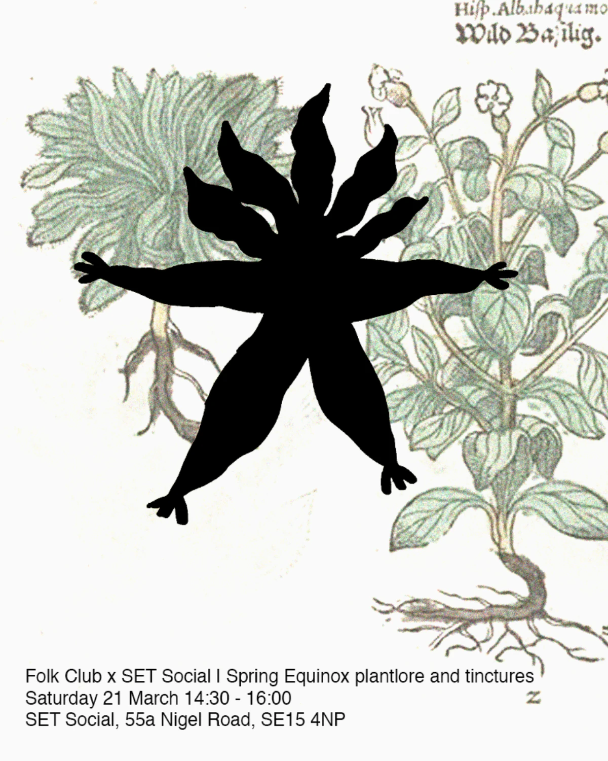 Folk Club: Spring Equinox Plantlore and Tinctures